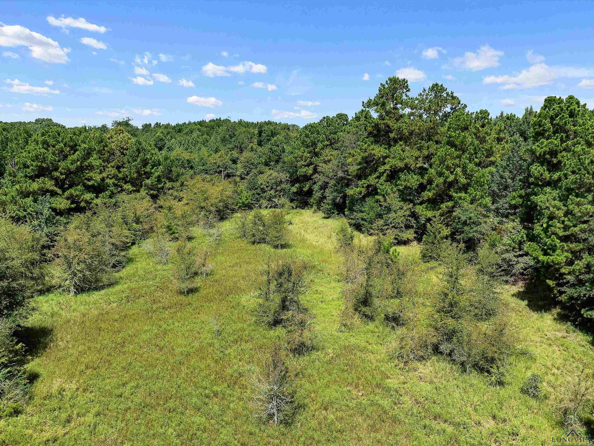 15 acres in Texas County - photo 12