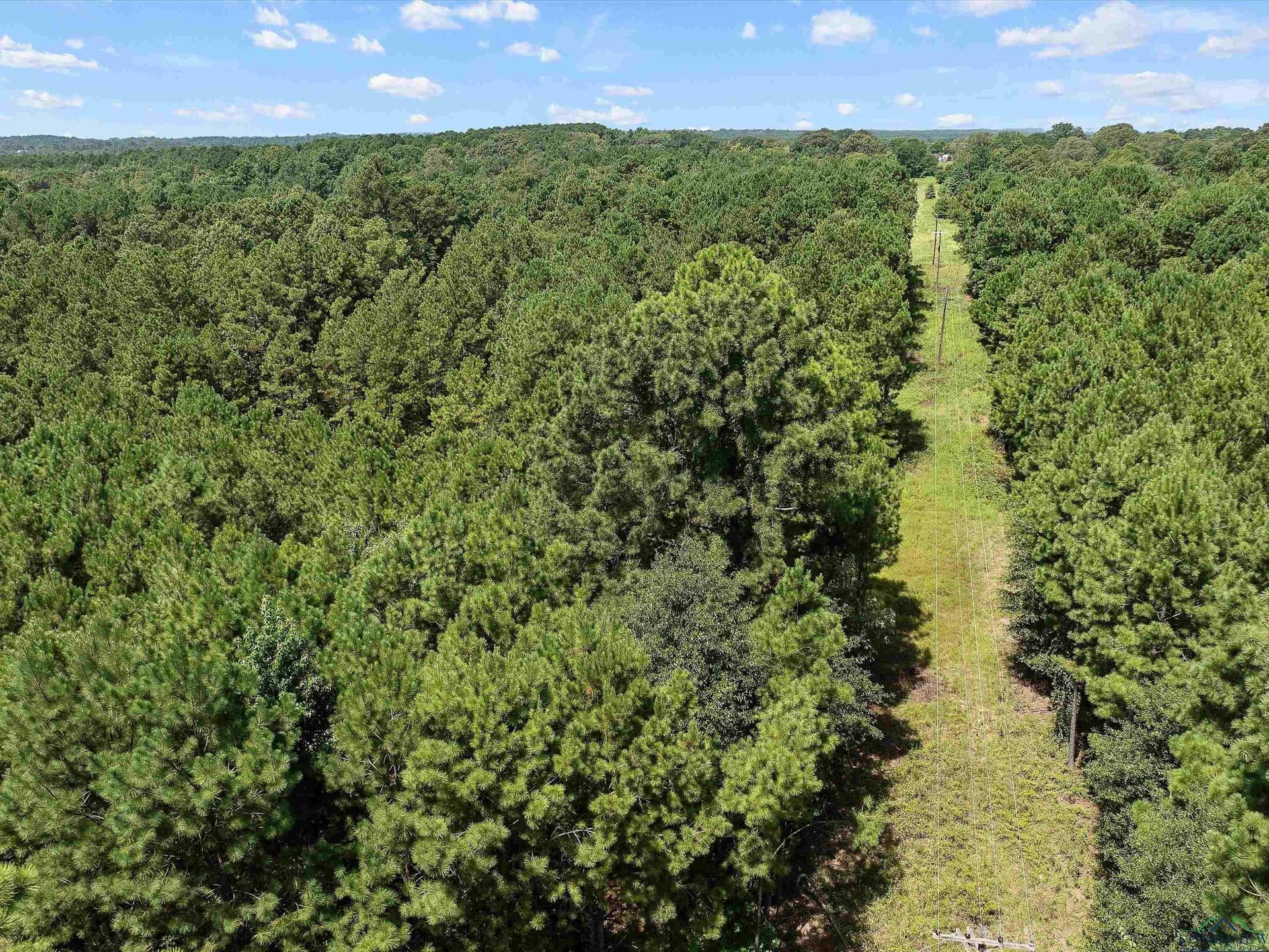 15 acres in Texas County - photo 16