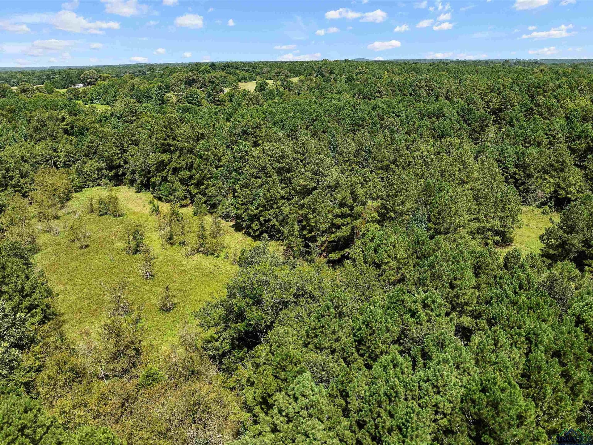 15 acres in Texas County - photo 11