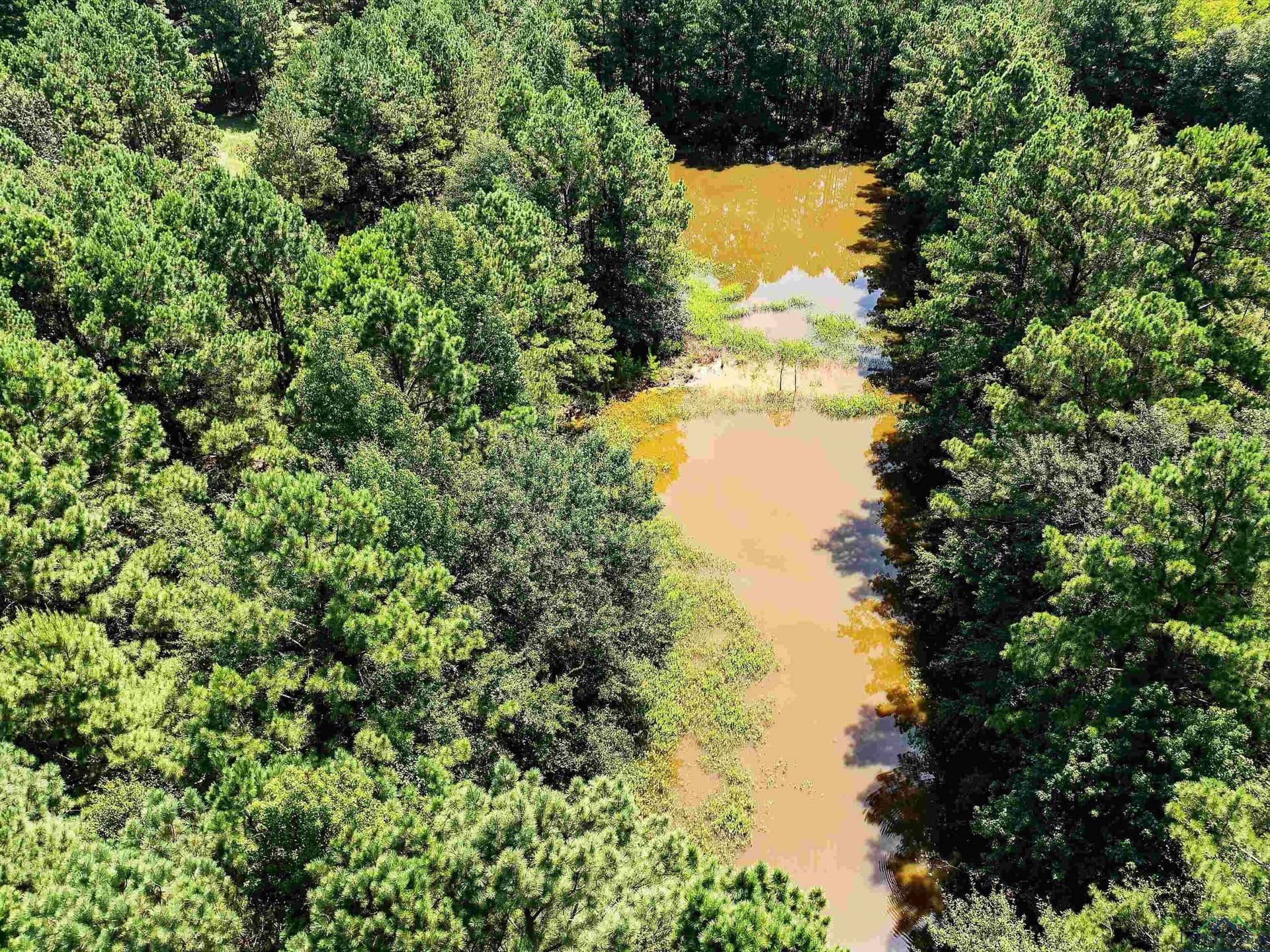 15 acres in Texas County - photo 5