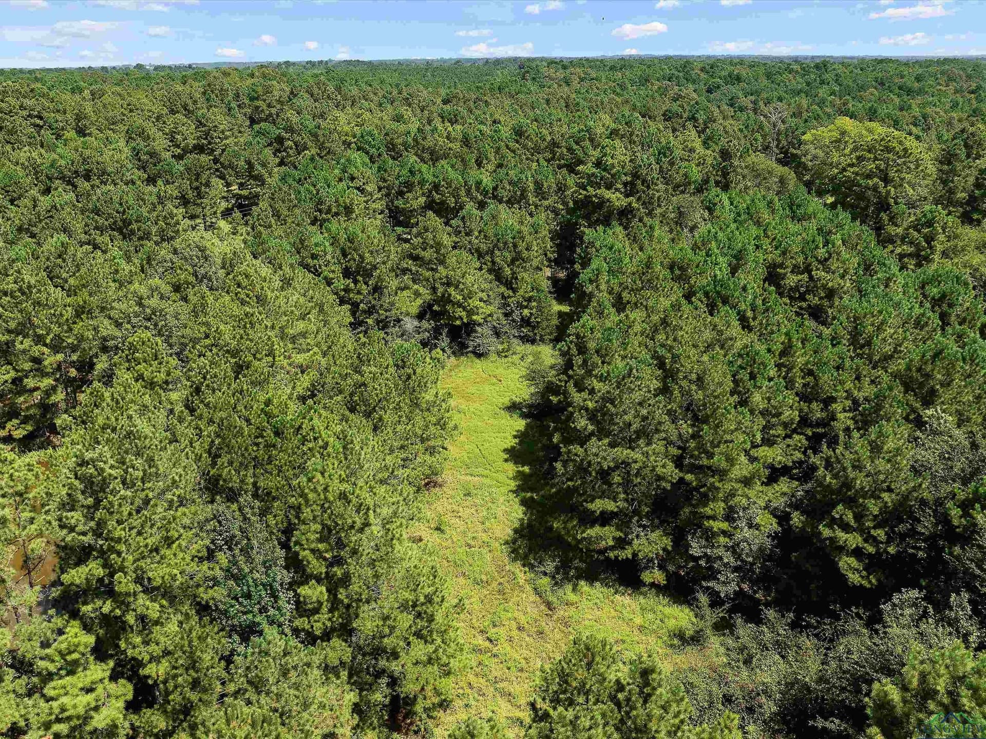 15 acres in Texas County - photo 13