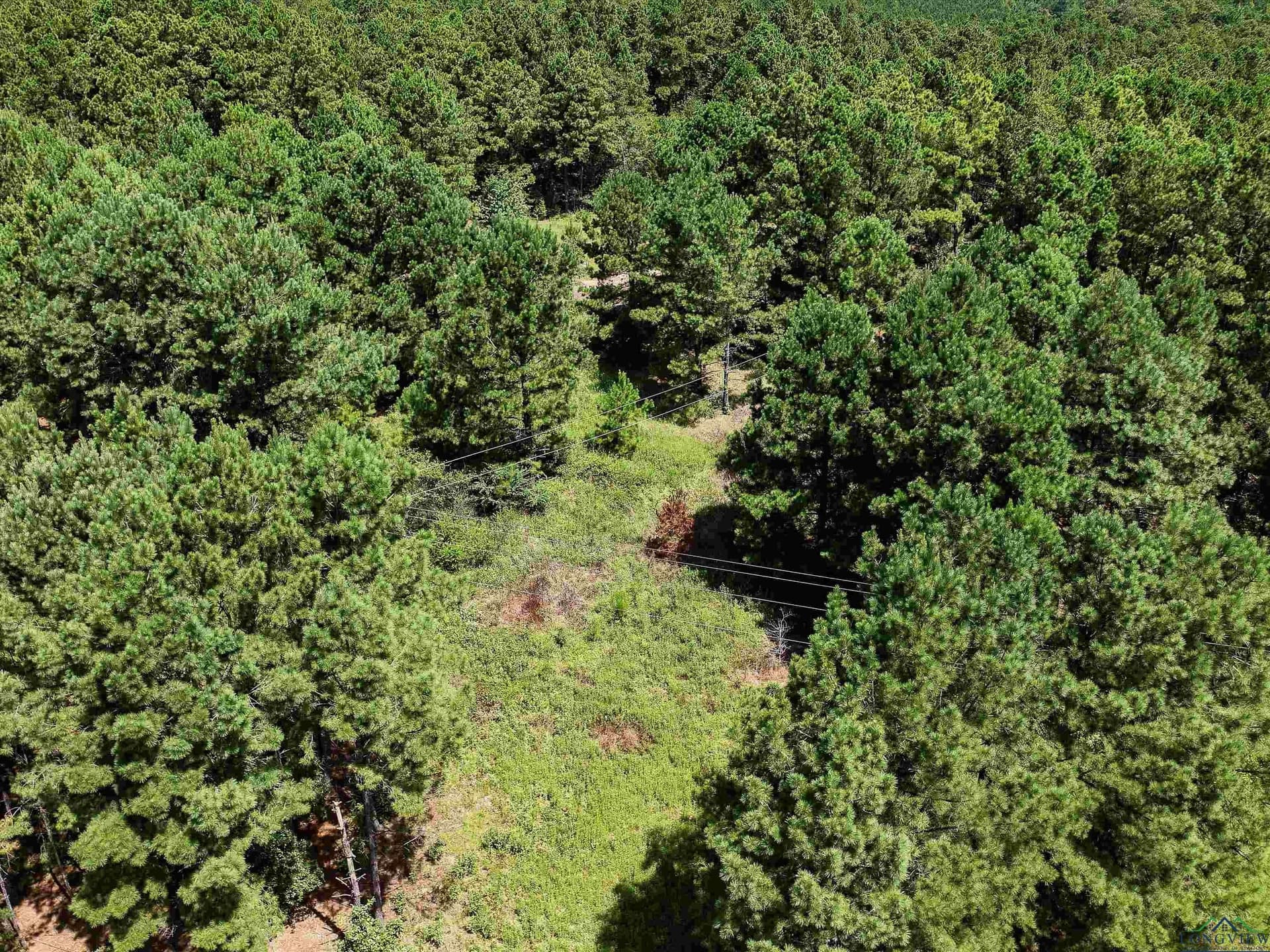 15 acres in Texas County - photo 8