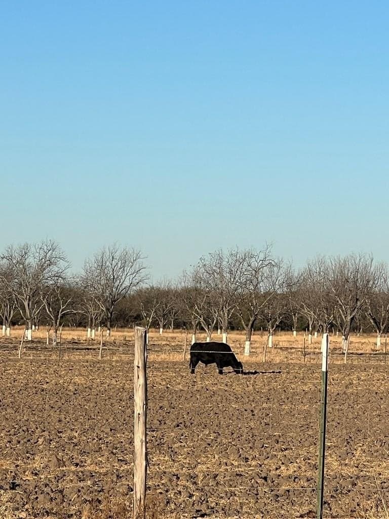 10 acres in Maverick County - photo 5