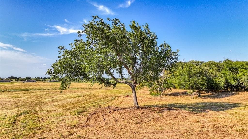 1.87 acres in Parker County - photo 8