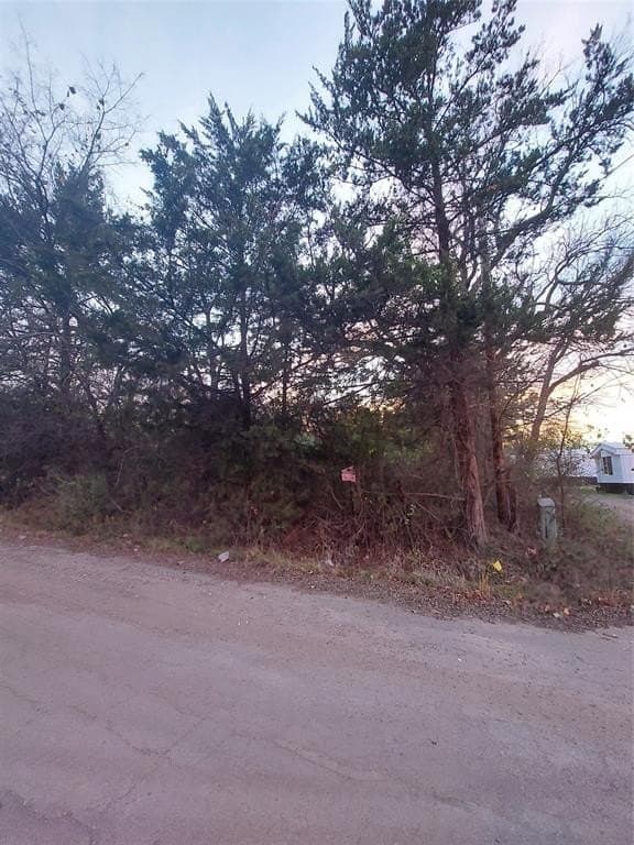 1.37 acres in Hunt County - photo 6