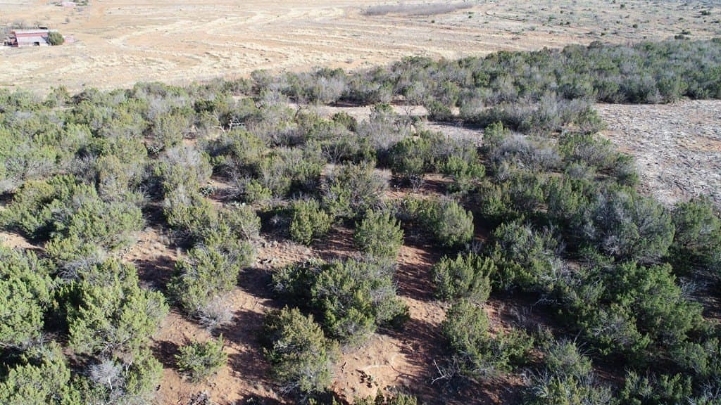 26.56 acres in Nolan County - photo 3