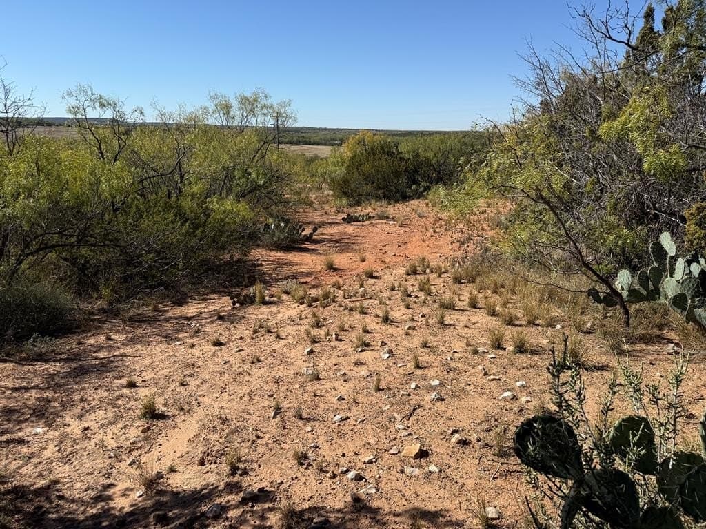 26.56 acres in Nolan County - photo 17
