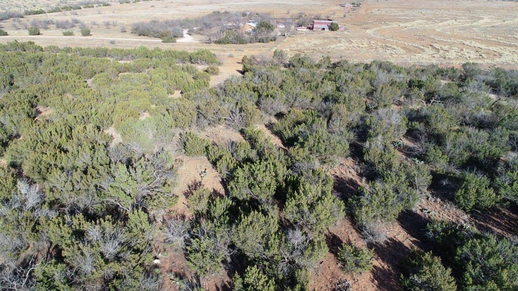 26.56 acres in Nolan County - photo 4