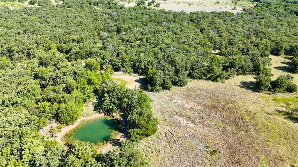 145 acres in Wise County - photo 6