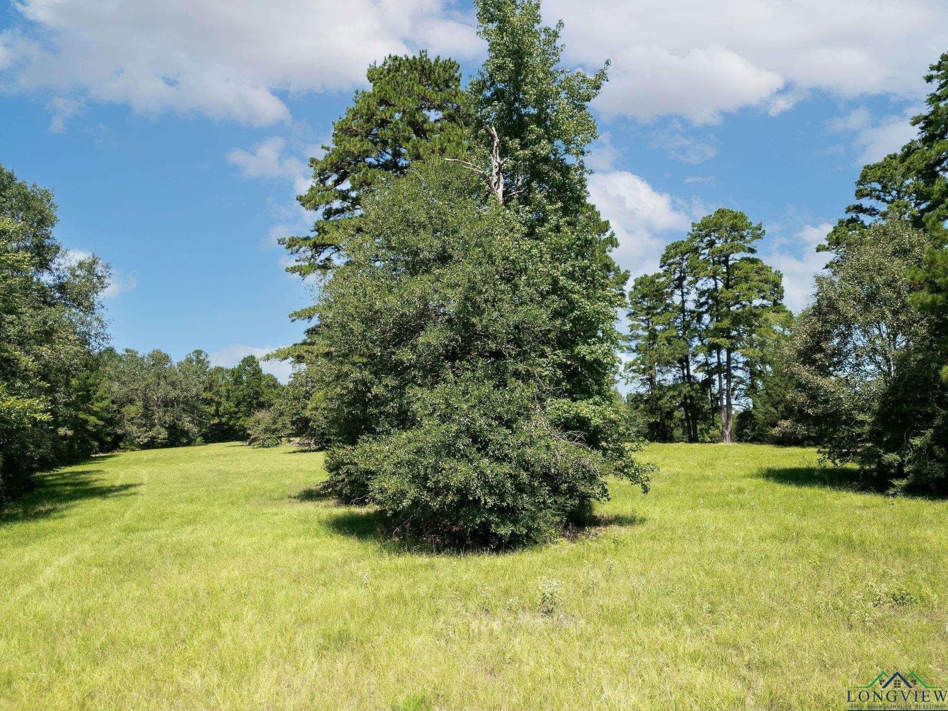 11.6 acres in Texas County - photo 7