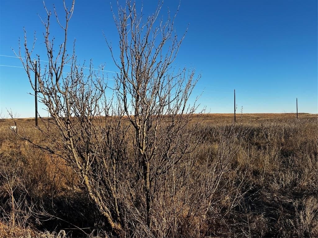 10.01 acres in Montague County - photo 4