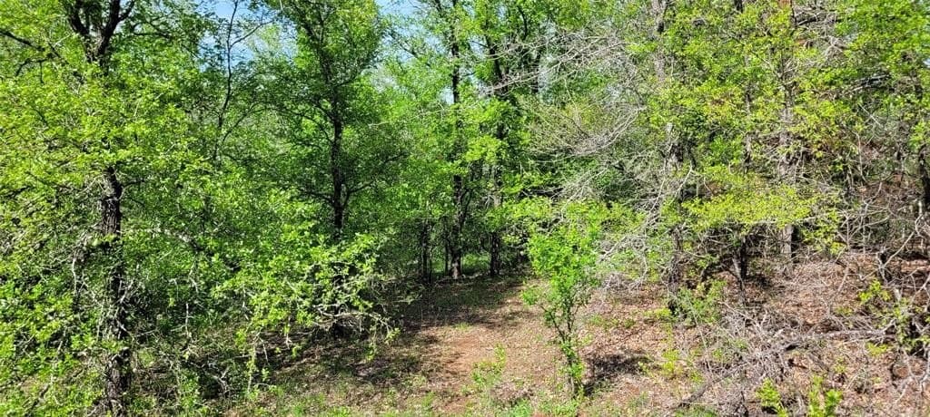 3.26 acres in Johnson County - photo 14