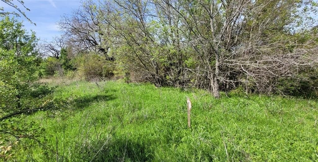 3.26 acres in Johnson County - photo 10