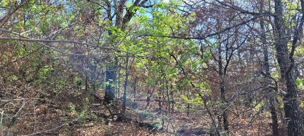 3.26 acres in Johnson County - photo 15
