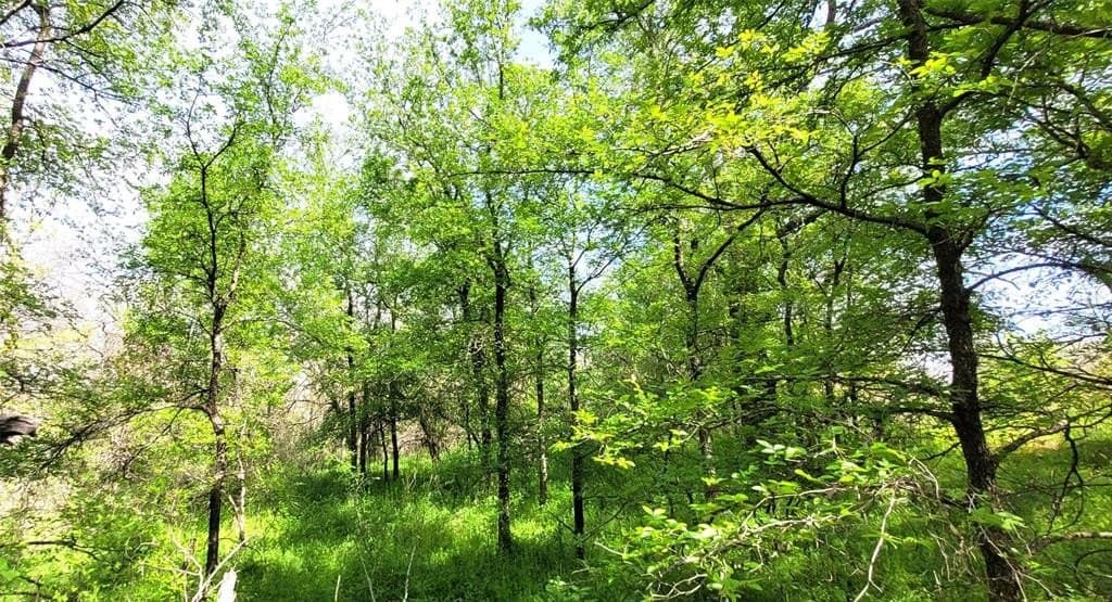 3.26 acres in Johnson County - photo 7