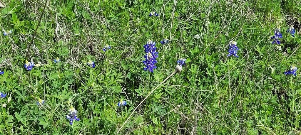 3.26 acres in Johnson County - photo 12