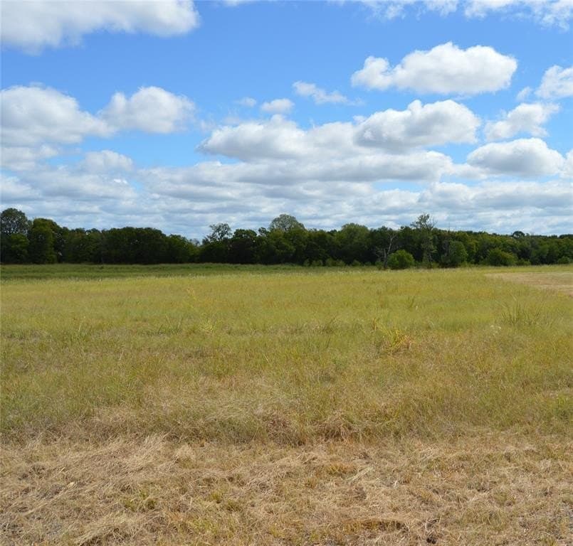 33 acres in Delta County - photo 14