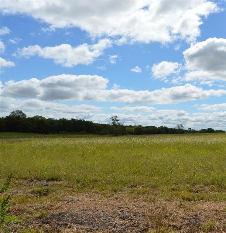 33 acres in Delta County - photo 15