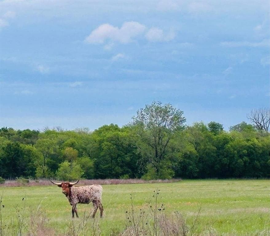 33 acres in Delta County - photo 8