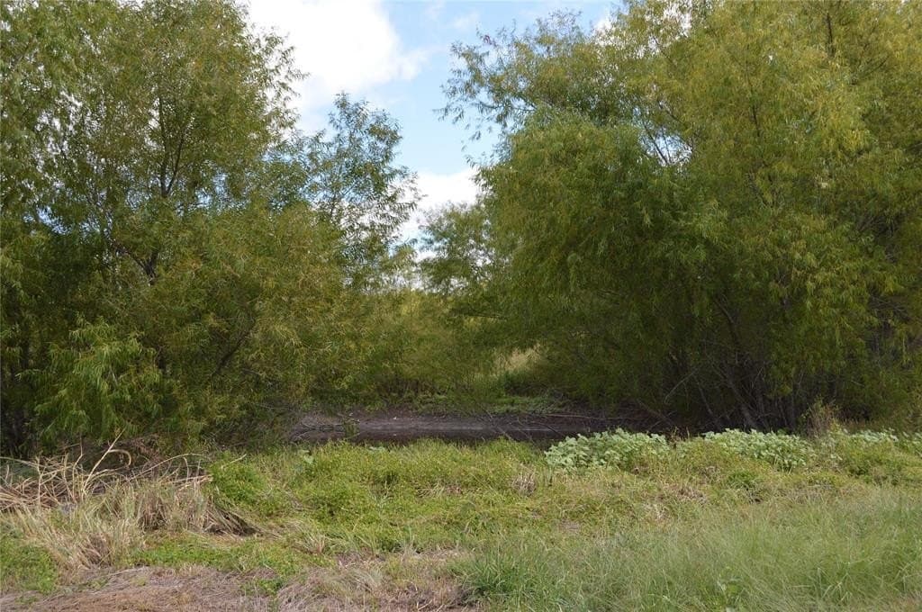 33 acres in Delta County - photo 6