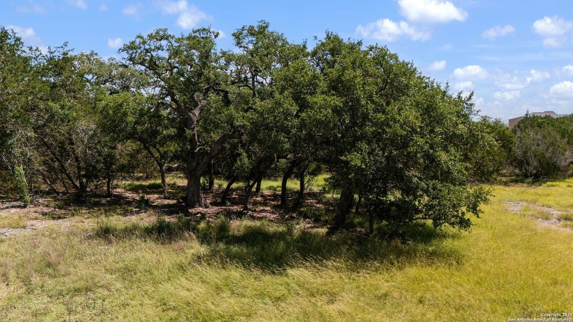 2 acres in Bandera County - photo 9
