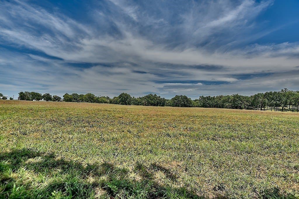 49.48 acres in Colorado County - photo 13