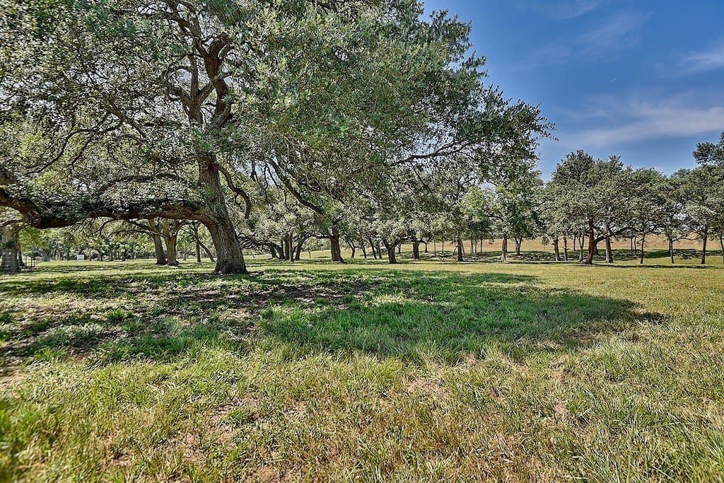 49.48 acres in Colorado County - photo 19