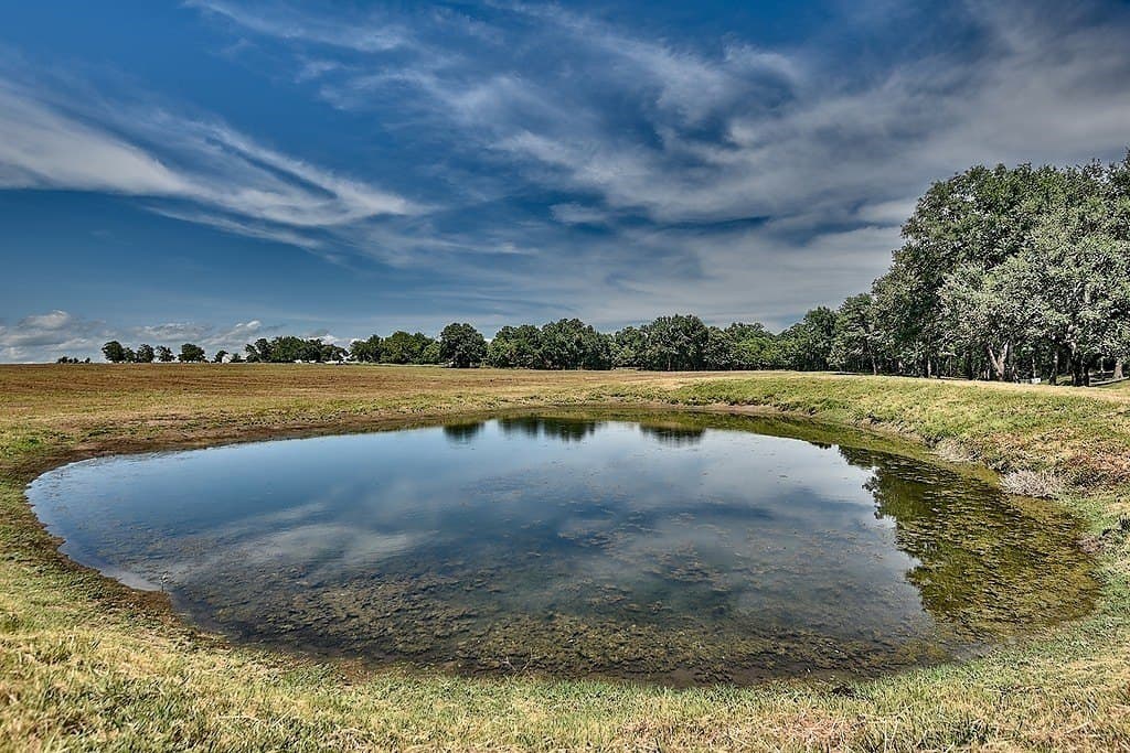 49.48 acres in Colorado County - photo 8
