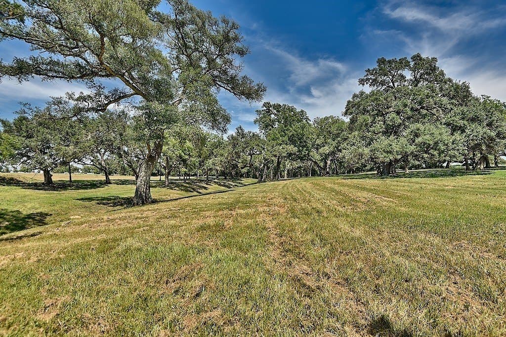 49.48 acres in Colorado County - photo 5