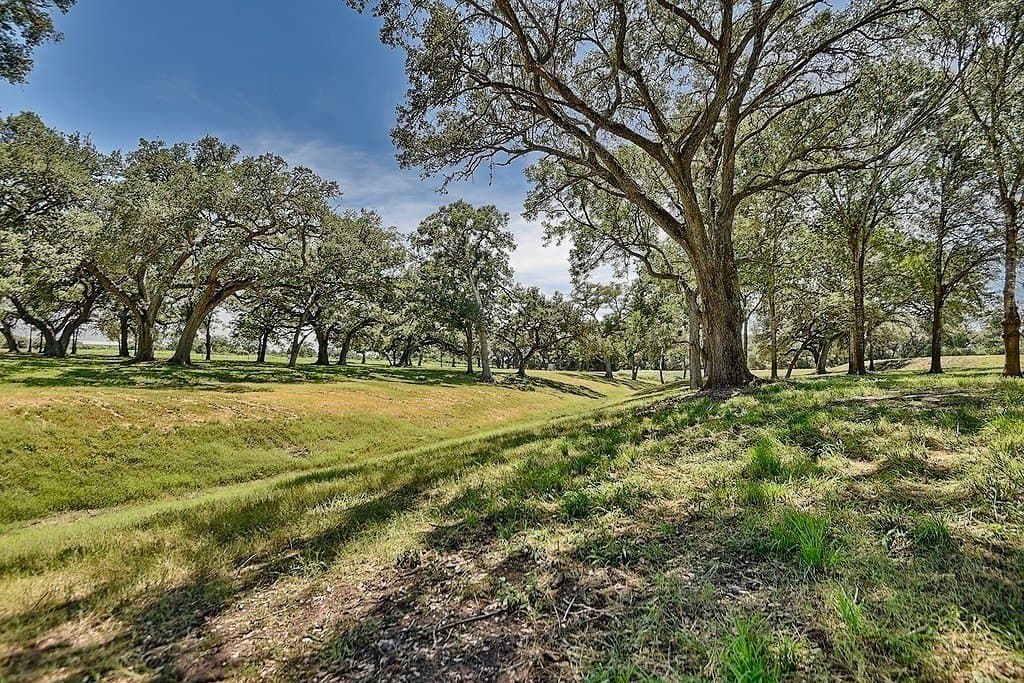 49.48 acres in Colorado County - photo 17