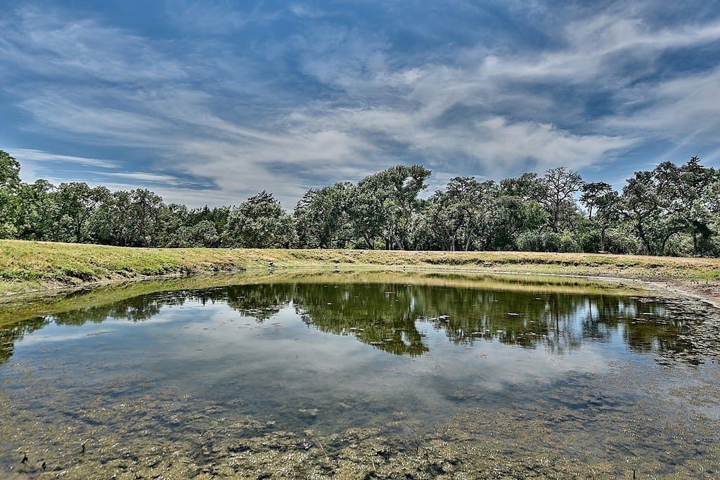 49.48 acres in Colorado County - photo 16