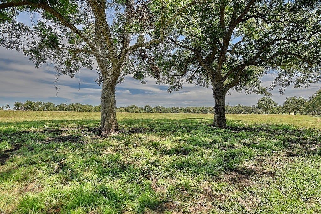 49.48 acres in Colorado County - photo 12