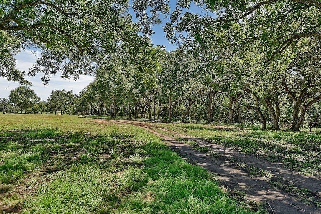 49.48 acres in Colorado County - photo 15