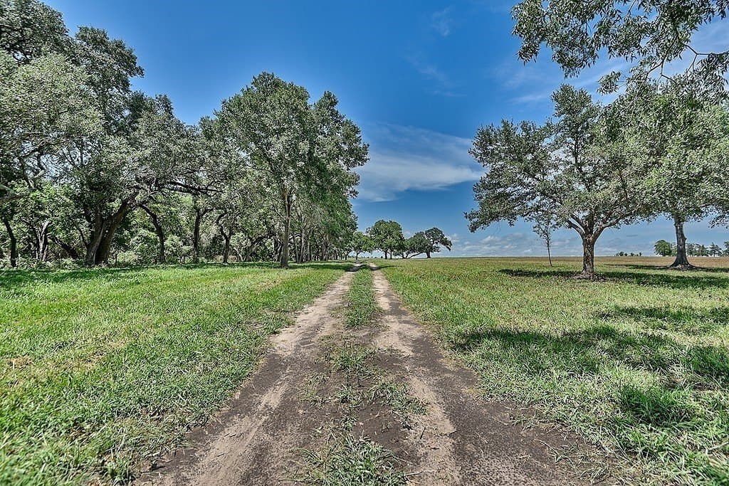 49.48 acres in Colorado County - photo 9