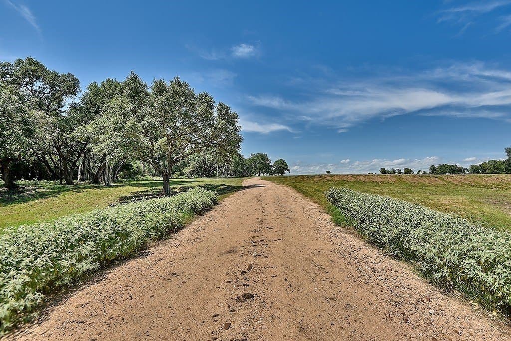 49.48 acres in Colorado County - photo 6