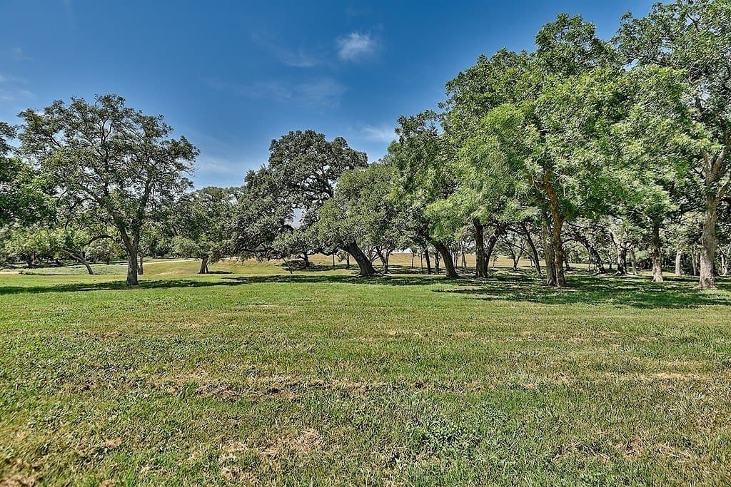 49.48 acres in Colorado County - photo 2