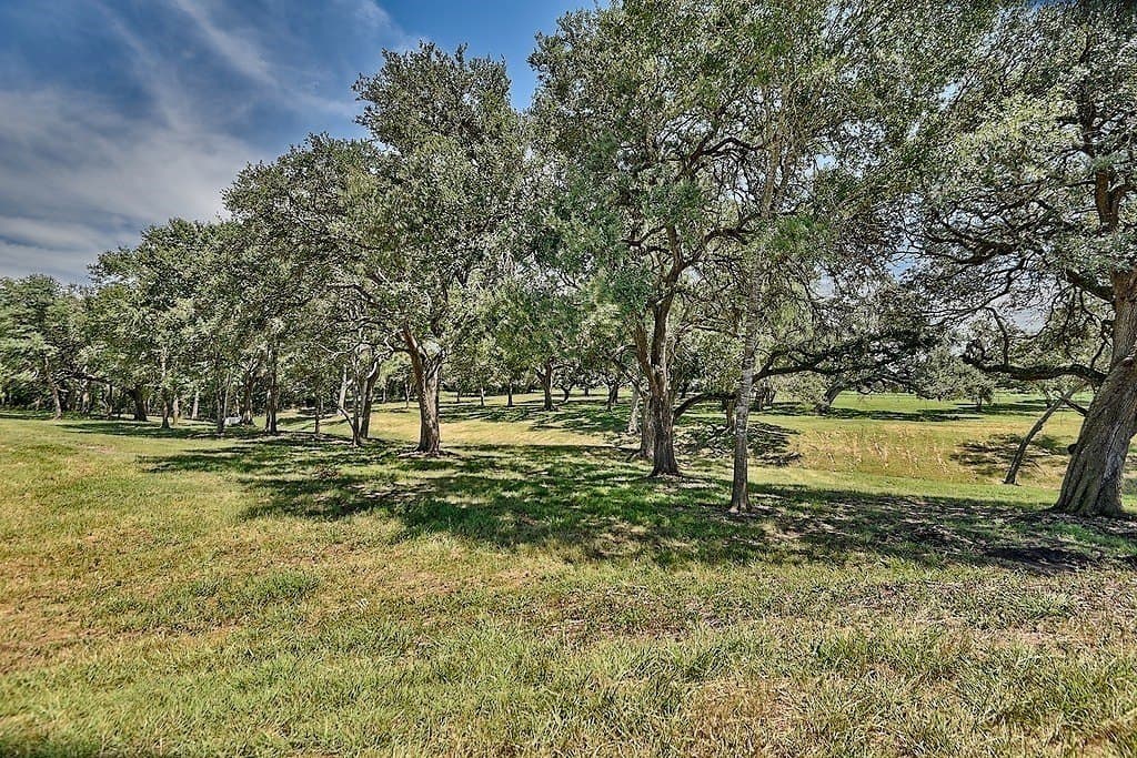 49.48 acres in Colorado County - photo 18