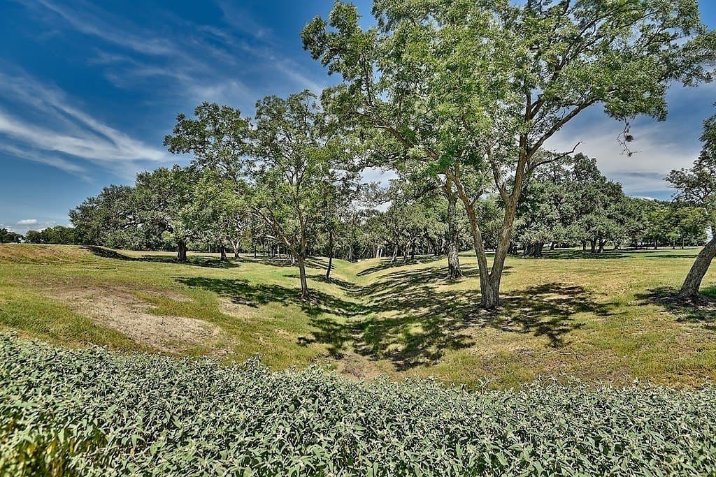 49.48 acres in Colorado County - photo 7