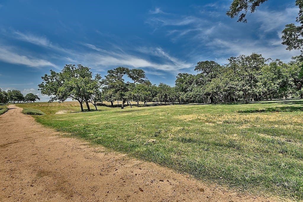 49.48 acres in Colorado County - photo 4