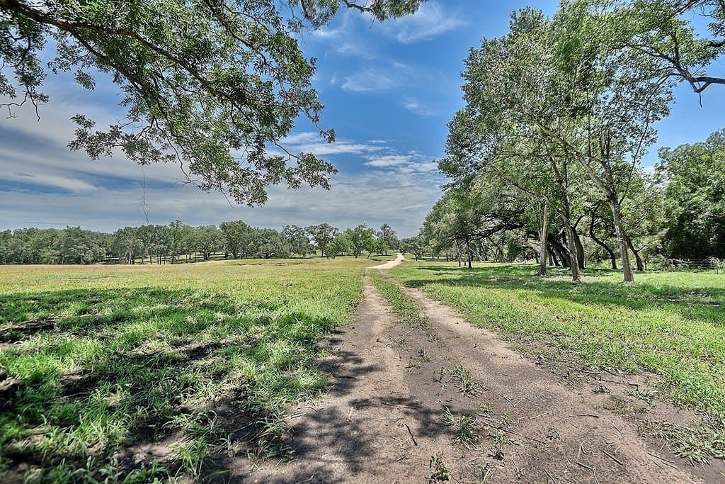 49.48 acres in Colorado County - photo 14