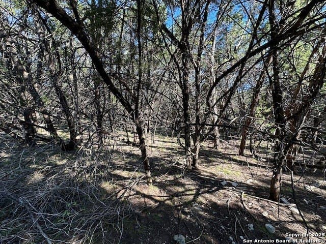 2.68 acres in Comal County - photo 25