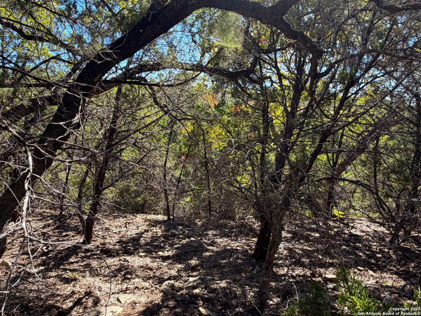 2.68 acres in Comal County - photo 11