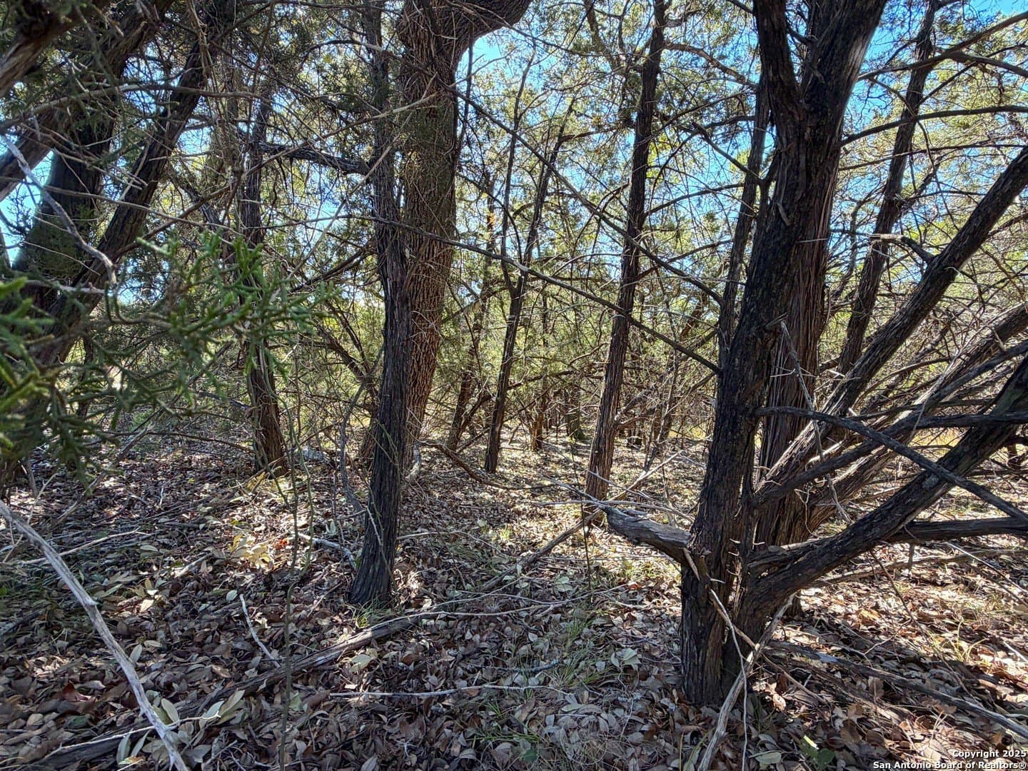 2.68 acres in Comal County - photo 17
