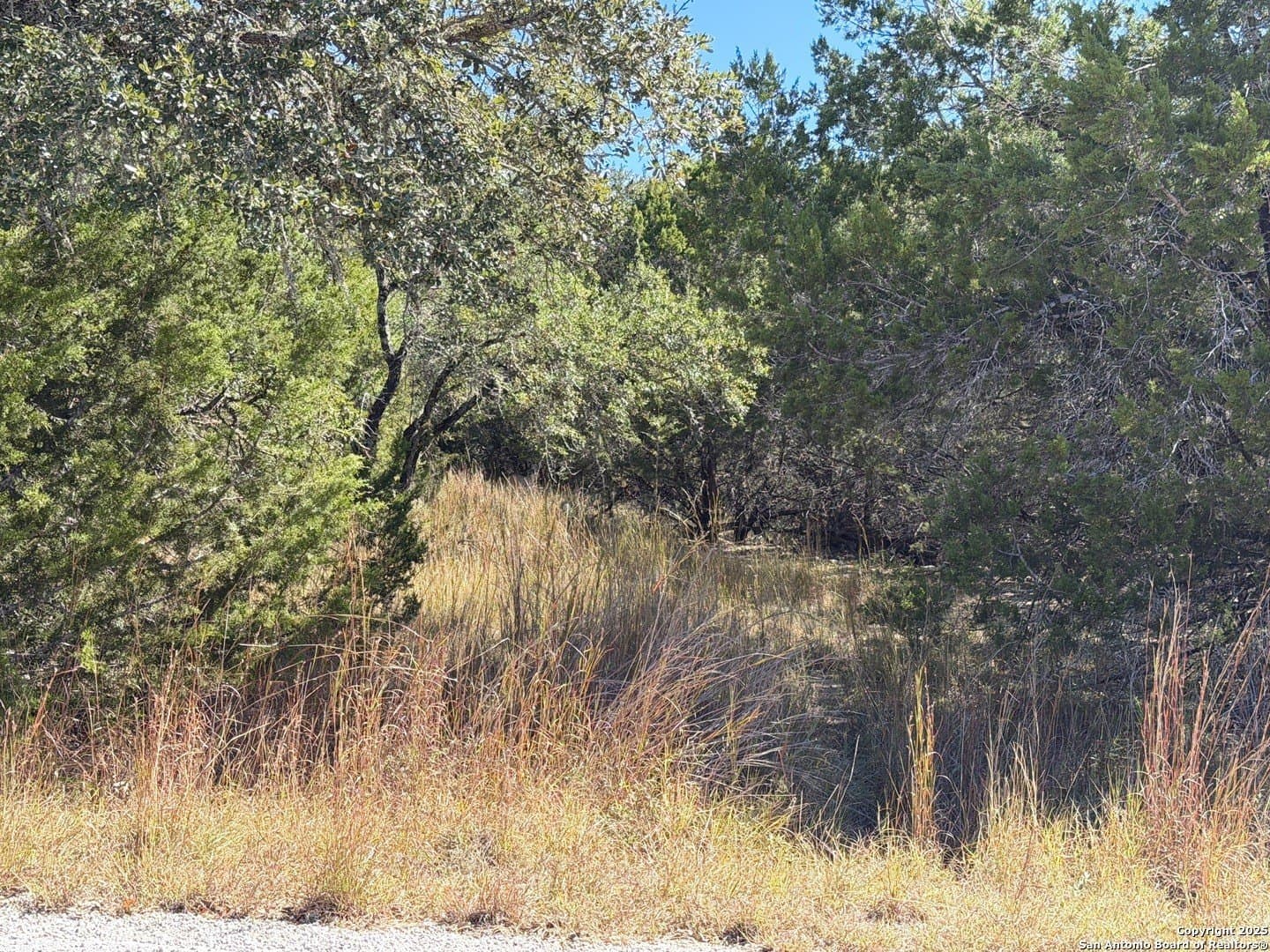 2.68 acres in Comal County - photo 8