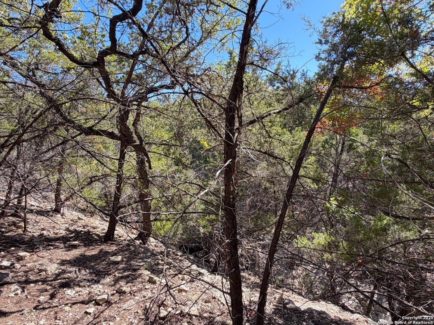 2.68 acres in Comal County - photo 13