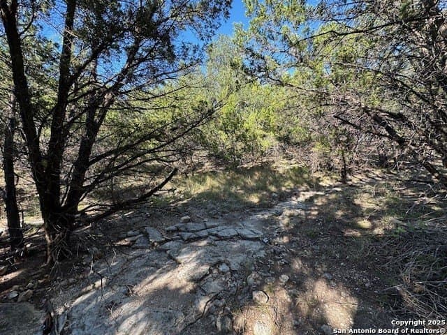 2.68 acres in Comal County - photo 24