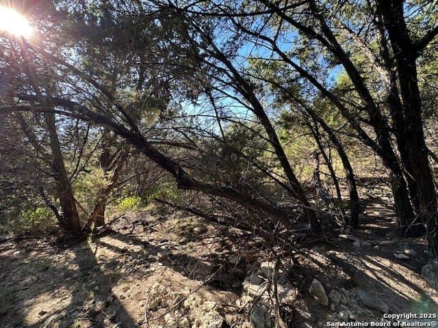 2.68 acres in Comal County - photo 23