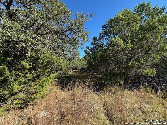 2.68 acres in Comal County - photo 19
