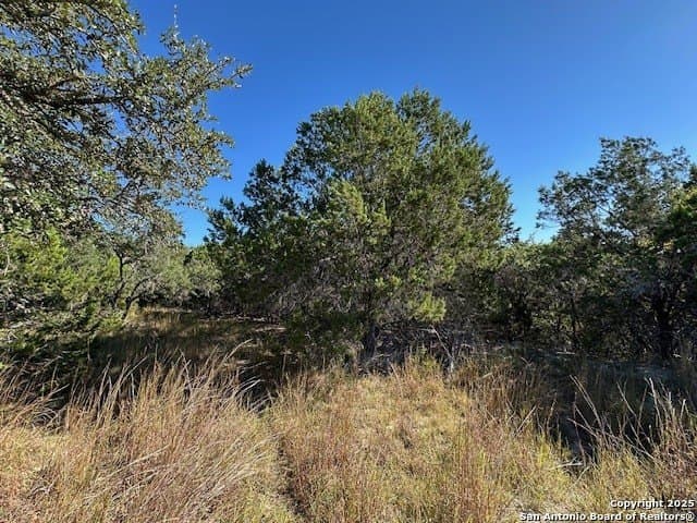 2.68 acres in Comal County - photo 20