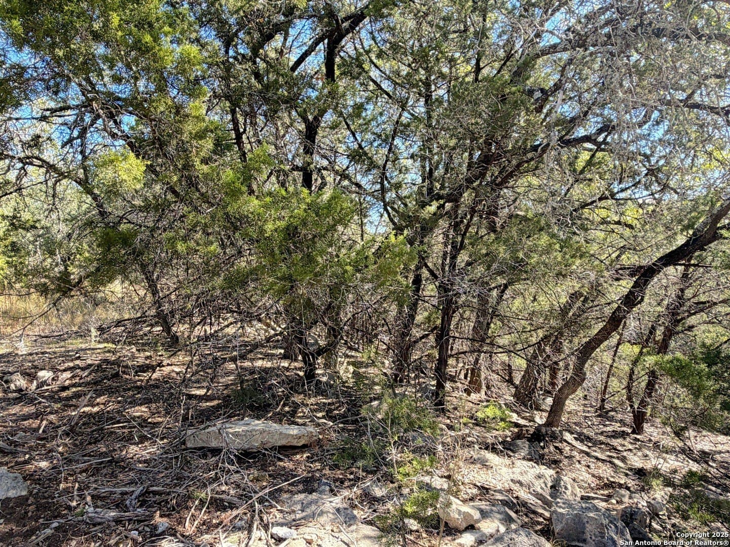 2.68 acres in Comal County - photo 9